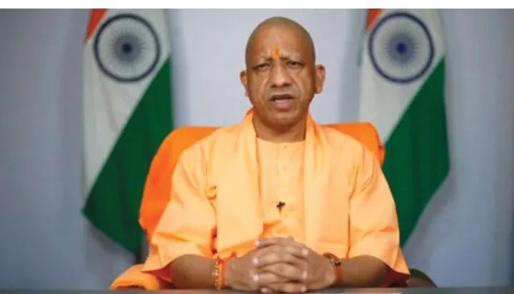 yogi